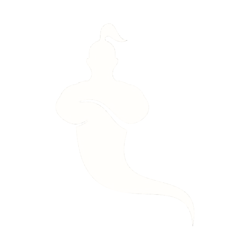 AI_GINY_LOGO